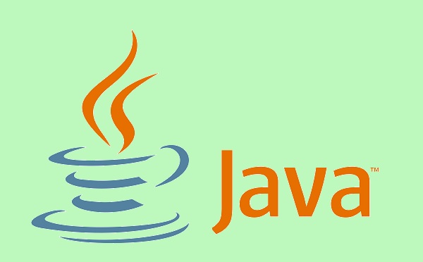 Java 入門 本 プログラマカレッジ