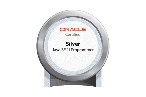 Javaシルバー 難易度 プログラマカレッジ
